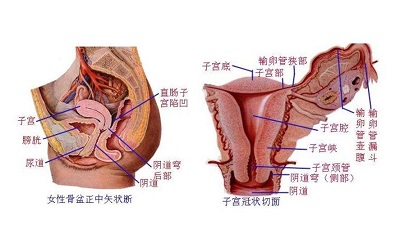 剖腹产剖宫产坐月子需要注意什么？才不会落下月子病？